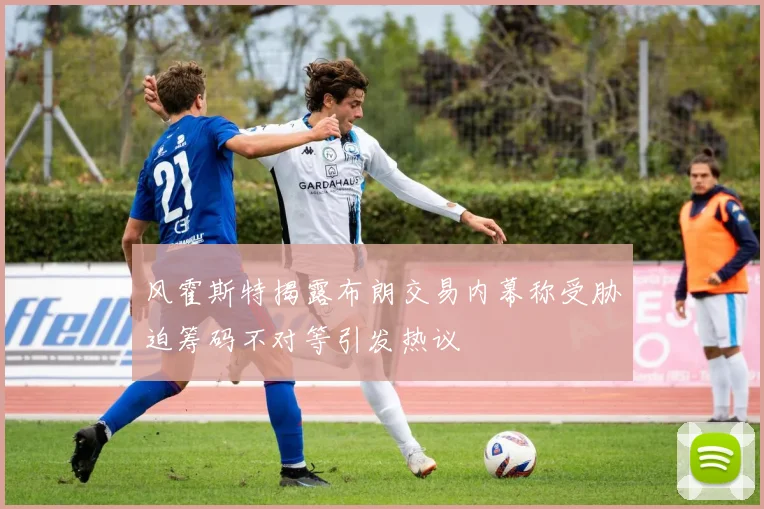 风霍斯特揭露布朗交易内幕称受胁迫筹码不对等引发热议